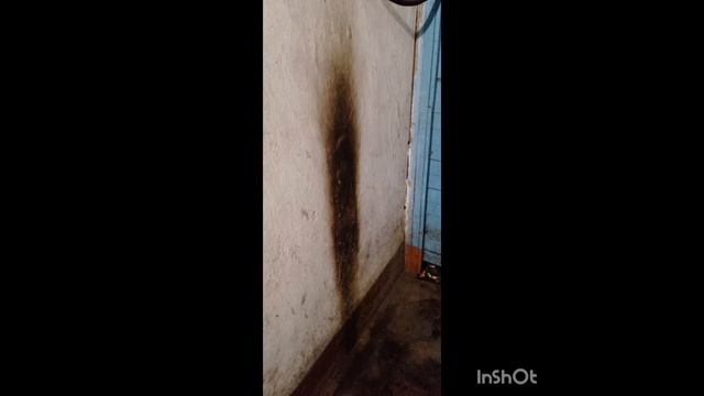 Весело живём👎👎👎..! Кому-то скучно, стала 👎👎👎...!!!