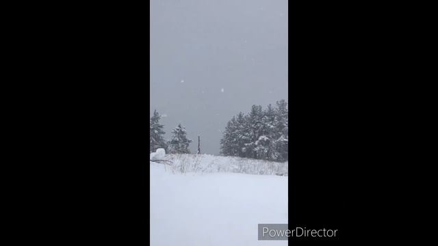 Горные лыжи и сноуборд. Катаемся в Домбае.
