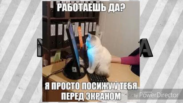 Смешные картинки (мемы)!