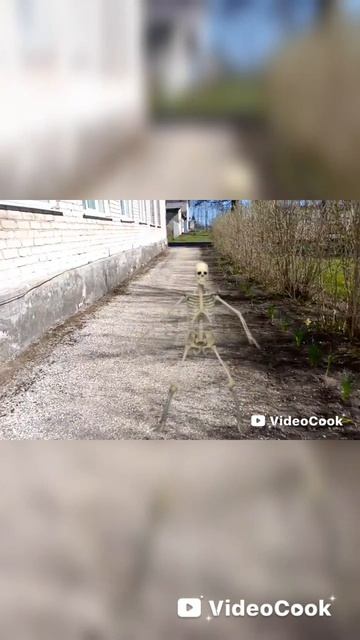 появился скелет около школы