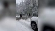 В Москву вернулась зимняя погода