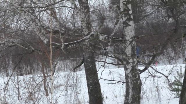 КУБОК Г  МОСКВЫ ПО ЛЫЖНЫМ ГОНКАМ 2023 СРЕДИ ЮНИОРОК 18 01 2023