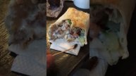 Тараканы в шаверме шеф-шаверма на суворовском проспекте дом 45