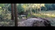 Мой зеленый сад часть (5)