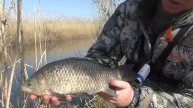 ОН ЗАТАЩИЛ МЕНЯ В ВОДУ! ЭТА РЕЧУШКА ЗАБИТА РЫБОЙ
