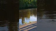 Музыка на набережной 02.05.25.