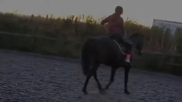 Конкур - это жизнь! Невозможное всегда возможно! 👊💪 Главное помни об этом!