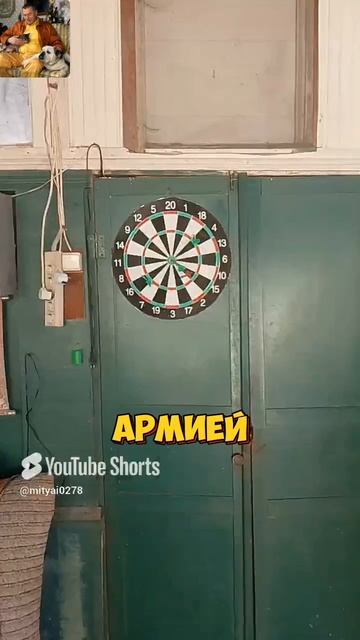 В.В Жириновский. Армия России