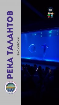 «Река талантов» Харбин, Китай, апрель 2025 День 3, Океанариум. Часть 2