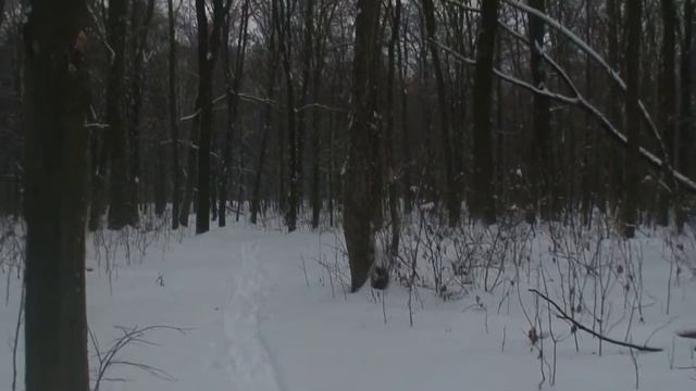 Открытие лыжного сезона)