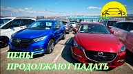 #витаминавто ЦЕНЫ ПРОДОЛЖАЮТ ПАДАТЬ