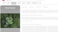 Неколько разных трав на одной фотографии