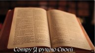 Келья | Дарина Кочанжи