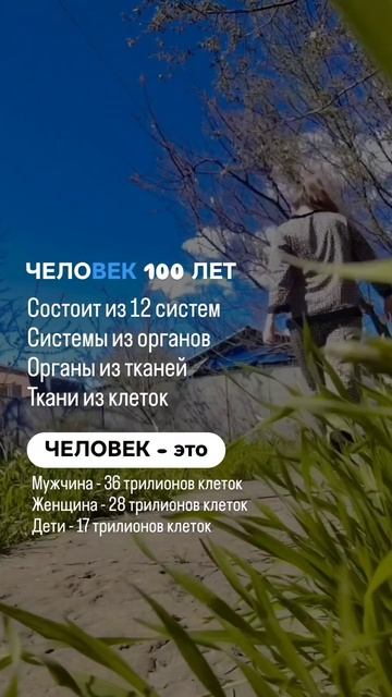 Из чего состоит человек?