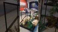21 апреля 2024 г.(2)