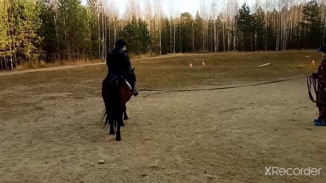 Конный клуб. Обучение. (Продолжение следует)