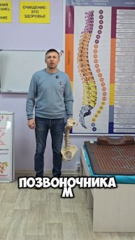 Цитата дня #здоровье #нугабест #шортс #бизнес #массаж