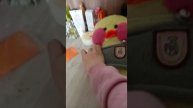 мы делаем дом для ути