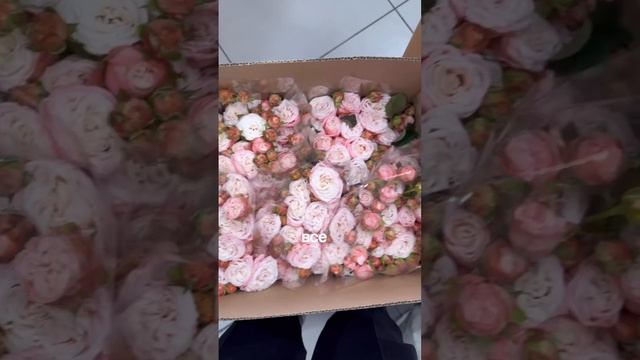 Как повысить стойкость цветка?
