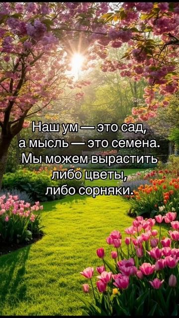 Сей добрые семена!