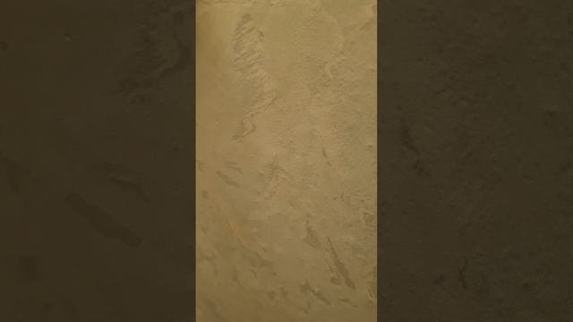 1000051297.mp4