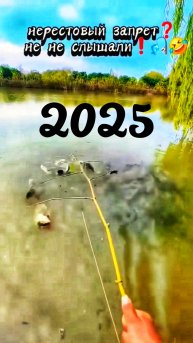 ❗️Нерестовый ЗАПРЕТ 2025 ❗️🎣🤣 #рыбалка #прикол #fishing #fish #shortsvideo