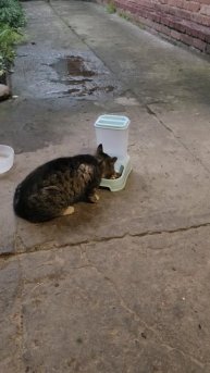 Красавчик сегодня рано пришёл покушать.