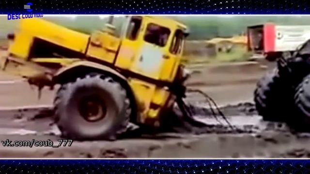 Best COUB ✌ Подборка недели #12 | #COUB #Compilation 2016. Красивые девушки, коты-беспредельщики