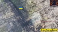 Освобождение н.п. Новое в Донецкой области