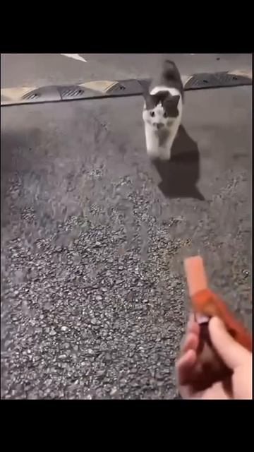 Hehe 😂 😂 😂 #nature #trending #video #trevel #animals
