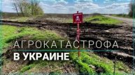 Война друг, война