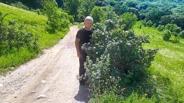 Поляна на Бештау