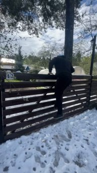 Мир, Труд, Май🚩
