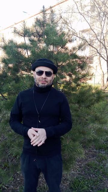 стих шторы