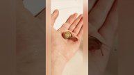 Улиточка 🐌🐌🐌🐌🐌