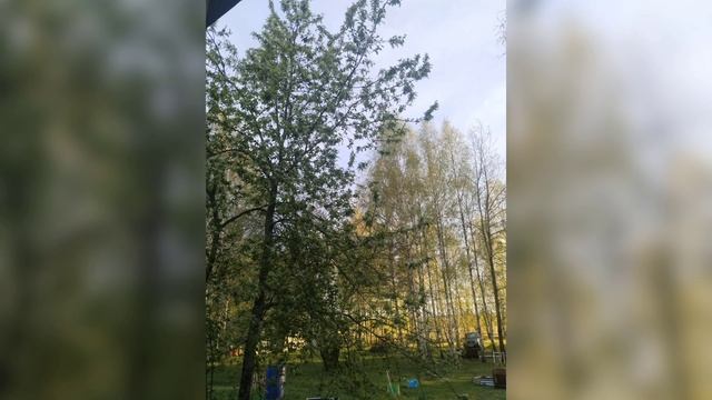в ночь с 30 апреля на 2 мая 😂