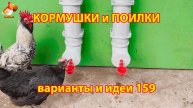 Кормушки и поилки для кур своими руками (159) 🪚✂️ Пошаговая инструкция как сделать 🐔 🐓❣️