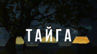 Смотреть бесплатно сериал тайг