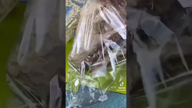 Кролик в духовке 🐰