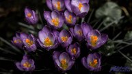 ✸ ♫ ❤ Песня, рожденная в горах - Beautiful Piano -- Lite Saturation -- Romantic Collection.mp4