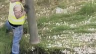 В Техасе перевернулась фура, груженная монетами по 10 центов.