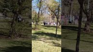 Пятница, прогулка