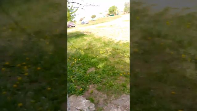 поездка к бабушке и дедушке