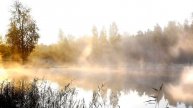 Мечты о любви 👩❤️👨💖