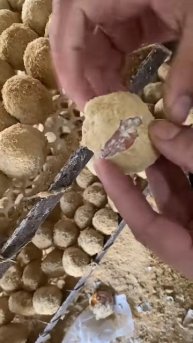 #food #cooking #videoshort #fruit #eggs #delicious #trunglon #funny #yummy #satisfying