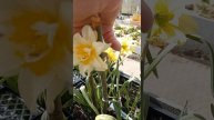 1000020044.mp4