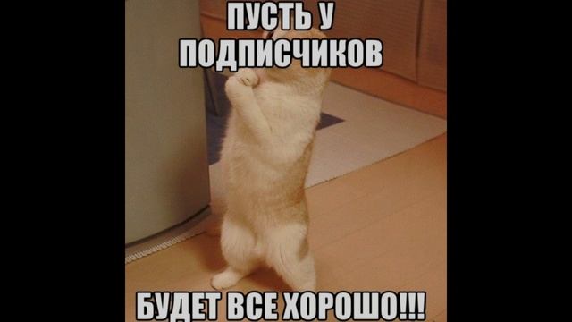 🫡💯🔥Благодарю Всех за Поддержку🔥💯🫡