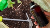 100% ПРИЖИВАЕМОСТЬ САЖЕНЦЕВ! Гениальный способ, который работает для любых растений