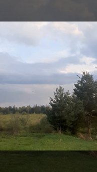 Весна.mp4
