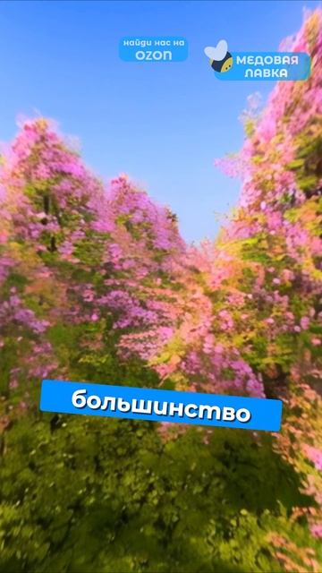НОВЫЙ ДОМ для ПЧЁЛ?!🍯🐝#пчелы #факты #здоровье #мёд #пчеловодство #топ #еда #рек #интересно